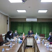 جلسه هم اندیشی سازمانهای بیمه گر استان گیلان برگزار شد
