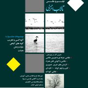 فراخوان شرکت در جشنواره فیلم و عکس تالاب انزلی برای برنامه سیپا