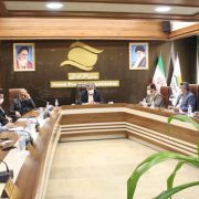 مهندس نقوی تاکید کرد : استفاده از تمام ظرفیت‌های قانونی جهت دست یابی به راهبردهای توسعه ای منطقه