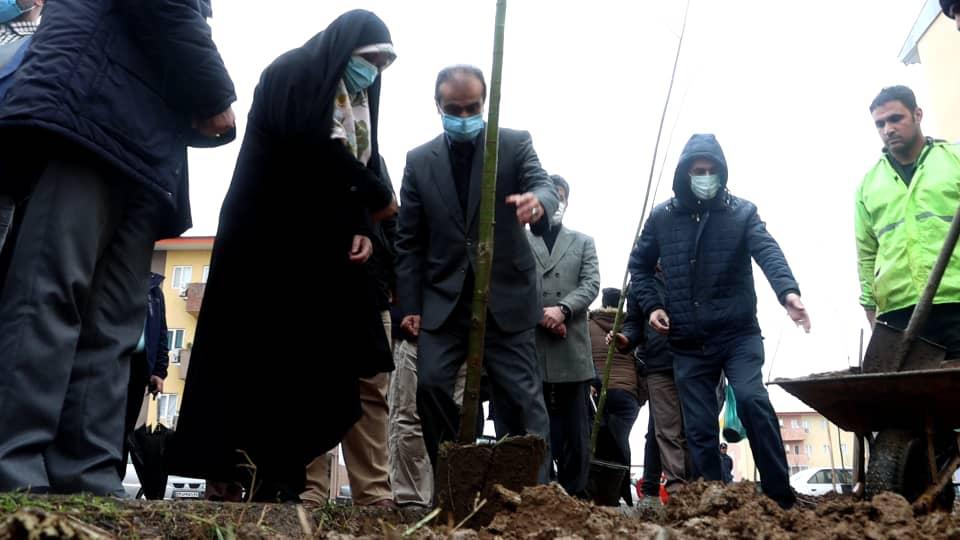 شهردار رشت خبر داد: شهرداری رشت ۵۰۰۰ اصله نهال را در سطح شهر توزیع می‌کند
