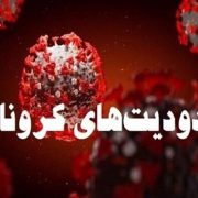شهروندان گیلانی تنها در موارد ضروری از منزل خارج شوند