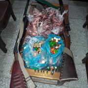 دستگیری شکارچی کل و بز با لاشه شکار و دو قبضه اسلحه قاچاق در رودبار