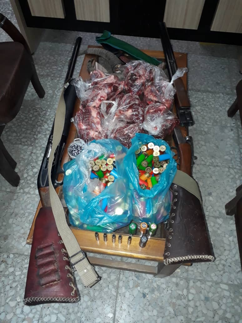 دستگیری شکارچی کل و بز با لاشه شکار و دو قبضه اسلحه قاچاق در رودبار