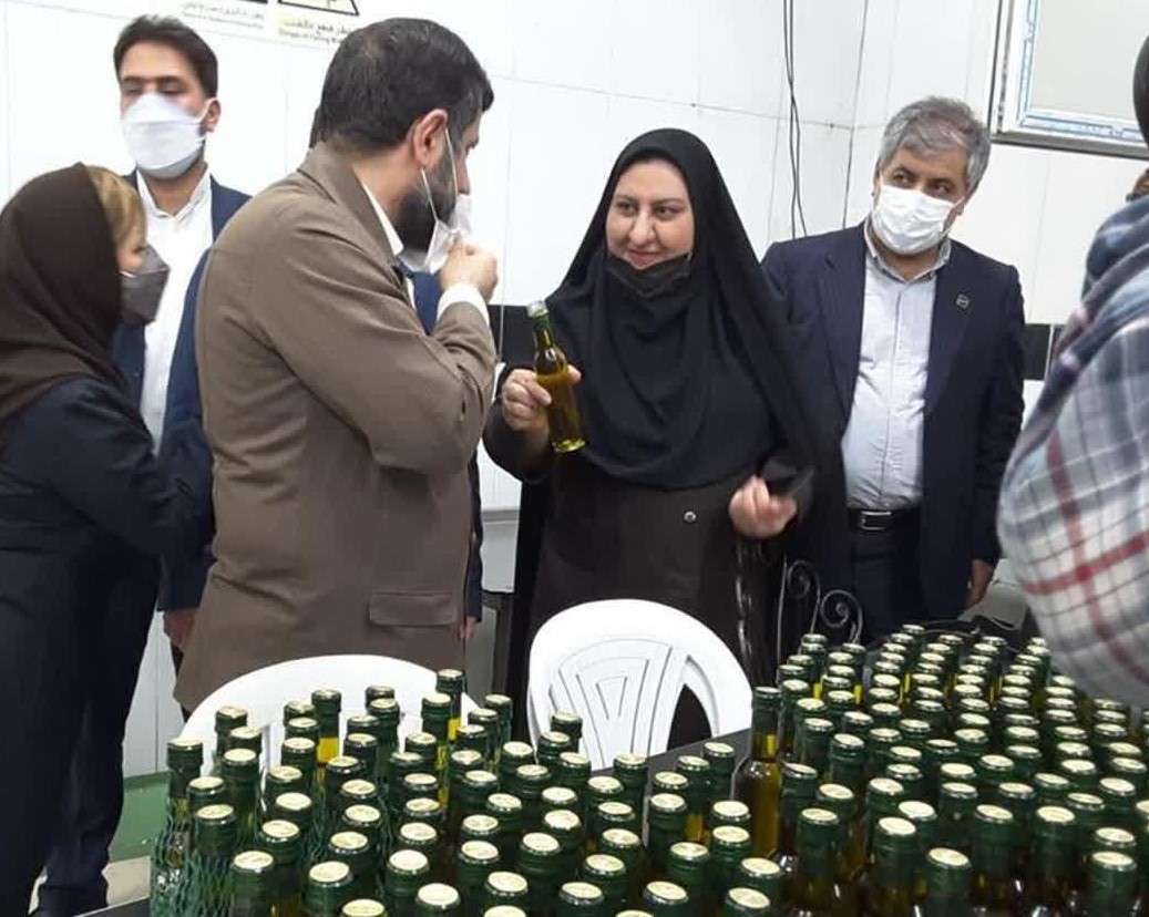 مدیرکل استاندارد گیلان: روغن زیتون رودبار باید به صورت استاندارد عرضه شود