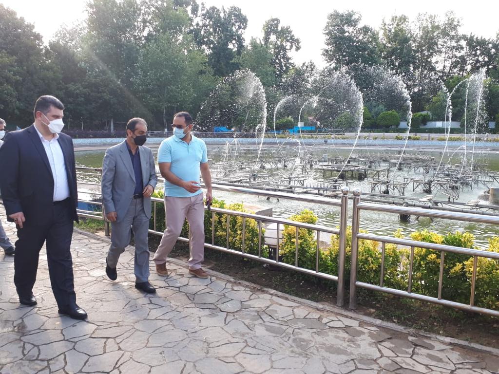 شهردار رشت خبر داد: راه اندازی فاز تکمیلی آب نمای موزیکال بوستان ملت در عید سعید غدیر