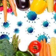 معرفی سایت اطلاعات تغذیه‌ای و نحوه تغذیه در زمان واکسیناسیون کرونا