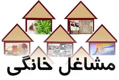 مدیرکل تعاون،کار و رفاه اجتماعی گیلان خبرداد:  آمادگی بررسی طرح های تسهیلات مشاغل خانگی در سال جاری
