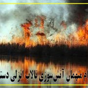 تمام متهمان آتش‌سوزی تالاب انزلی دستگیر شدند