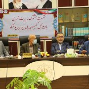 لاهیجان آماده ثبت پایتخت چای ایران و شهر خلاق یونسکو است