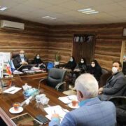استقرار کامل نسخهنویسی و نسخهپیچی الکترونیکی در گیلان نیازمند تلاش شبانهروزی است