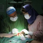 دستیابی محققان گیلانی به فوق پیشرفتهترین درمان سوختگی در کشور