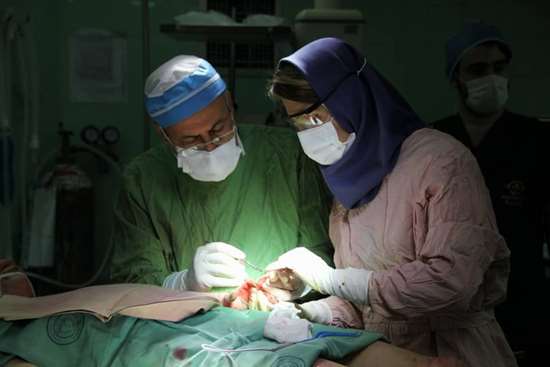 دستیابی محققان گیلانی به فوق پیشرفته‌ترین درمان سوختگی در کشور