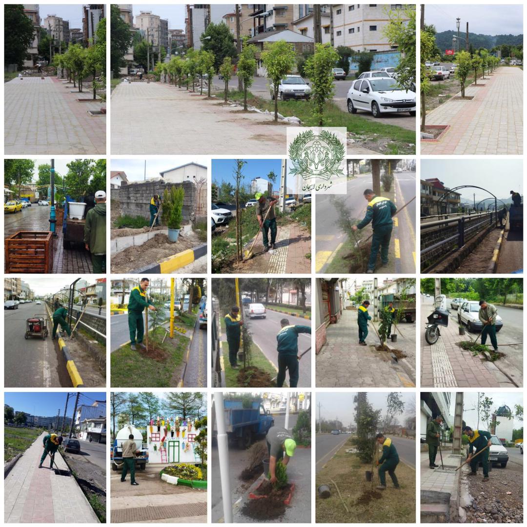 بیش از ۲۳۰۰ اصله درخت در پنج ماه گذشته توسط شهرداری لاهیجان کاشت شد‌