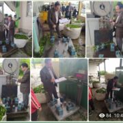 ترازوی های ۱۶۸ کارخانه چای در گیلان و مازندران بازرسی شد