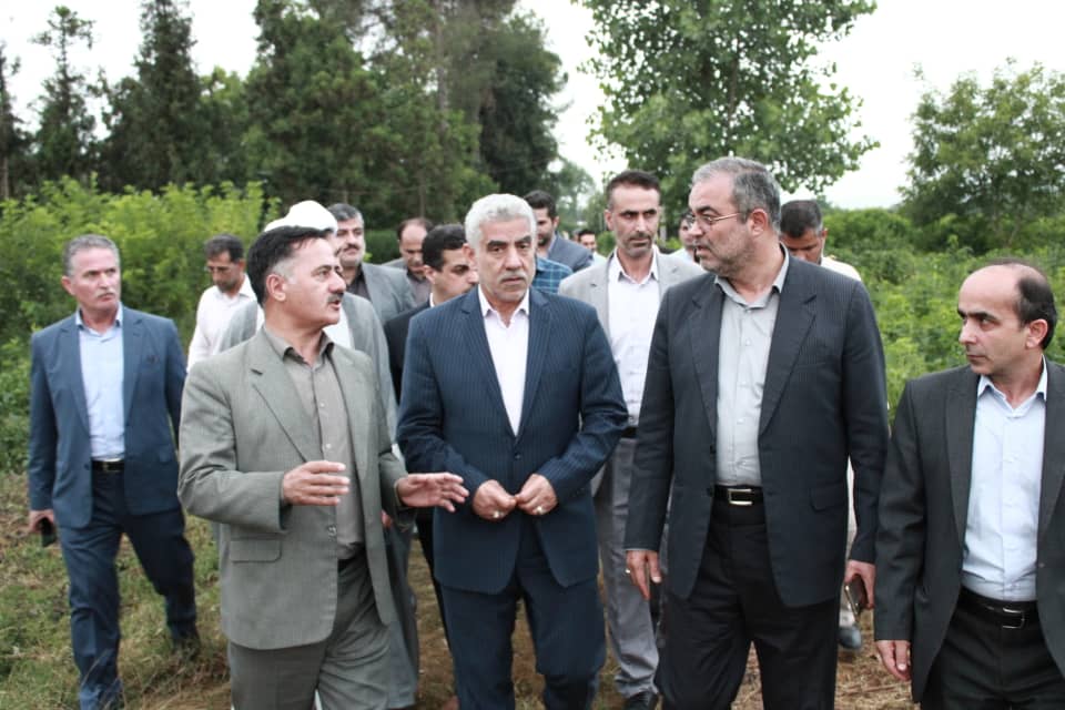 بازدید استاندار گیلان از بخش های مختلف کشاورزی فومن