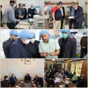 معدن کمیاب میکا در جدال با تحریم داخلی است