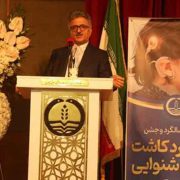 گیلان چهارمین قطب کاشت حلزون کشور است