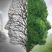 نقش فضای مجازی در تخریب محیط زیست