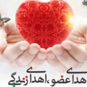 اهدای اعضای بانوی ۴۰ ساله گیلانی، به بیماران نیازمند عضو زندگی دوباره بخشید