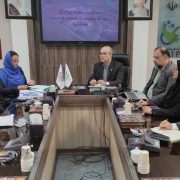 توسعه تعاملات بین‌المللی پارک علم و فناوری گیلان با تکیه بر دیپلماسی فناوری